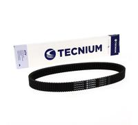 TECNIUM Cintura CVT EliteGrip