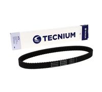 TECNIUM Cintura CVT EliteGrip