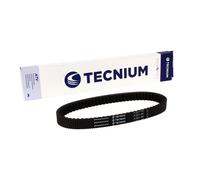 TECNIUM Cintura CVT EliteGrip