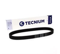 TECNIUM Cintura CVT EliteGrip