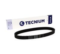 TECNIUM Cintura CVT EliteGrip