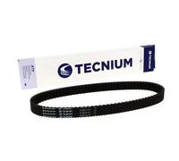 TECNIUM Cintura CVT EliteGrip