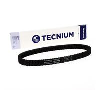 TECNIUM Cintura CVT EliteGrip