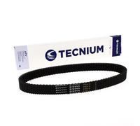 TECNIUM Cintura CVT EliteGrip