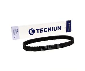 TECNIUM Cintura CVT EliteGrip