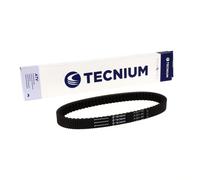 TECNIUM Cintura CVT EliteGrip