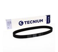 TECNIUM Cintura CVT EliteGrip