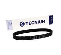 TECNIUM Cintura CVT EliteGrip