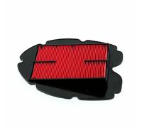 Filtro aria yahama tdm 900 02-13
