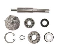 Tecnium Kit Di Revisione Della Pompa Dell`acqua Mf5-8663 Honda Sh125