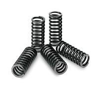 Kit Da Molle Di Frizione TECNIUM per Moto Ricambi Accessori Ricambi