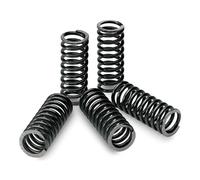 TECNIUM KIT DI MOLLE FRIZIONE compatibile con SUZUKI RM 250
