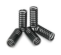 TECNIUM KIT DI MOLLE FRIZIONE compatibile con HONDA CR 250