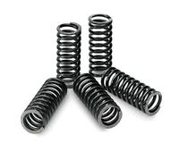 TECNIUM KIT DI MOLLE FRIZIONE