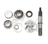 TECNIUM KIT REVISIONE POMPA ACQUA DAELIM S3 125 2010-2015