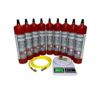 Tecno Cold | Gas Refrigerante R290 Propano in Bombola da 370g - Refrigerante Naturale per Climatizzatori e Frigoriferi - Alta Purezza - Bombola per Ricarica Impianti HVAC