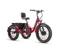 Tecnobike Shop Bici Bicicletta Elettrica Pedalata Assistita Triciclo Bicicletta Elettrica Z-TECH ZT-80-A FAT TRIKE 3 Ruote 250W 13 Ah 48V Batteria Litio e-Bike con Pedali e-Bicycle (Rosso)