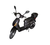 Tecnobike Shop Bici Elettrica a Pedalata Assistita Biciclette Elettroniche Alimentate Velocipede Vitale NJT-007 250W 20Ah 48V Batteria A Grafene Bluetooth (Nero Opaco)