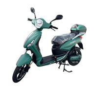 Tecnobike Shop Bici Elettrica a Pedalata Assistita Biciclette Elettroniche Alimentate Z-Tech ZT-09-FL 60V 24Ah Batteria al Litio Estraibile Bluetooth Parabrezza Portasmartphone (Verde Opaco)