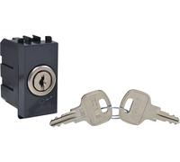 Tecnomat INTERRUTTORE BIPOLARE 10A NERO CON CHIAVE