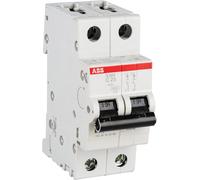 ABB Interruttore magnetotermico S202 S466103 2P 25A C 6kA 2M