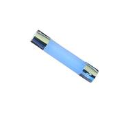 Tecolampe 10 Nuove Lampade A LED AC8V Con Fusibile E Copertura Smerigliata, Adatte A Marantz, Sansui, Kenwood, Pioneer E Altri Ricevitori Stereo D'epoca(Soft Warm White)