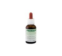 Tecoma Phytum Gtt 30Ml 30 ml Gocce orali