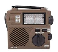 TECSUN GR-88P Amplificatore per Strumenti Musicali, Compatibile con Tutti gli Strumenti Musicali, Amplificatore a Stato Solido, 2 Canali, 2 Bande, Jack 6,35 mm