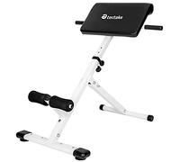 tectake® Panca per Addominali e Dorsali, Imbottiture con Impugnature, Appoggi per le Gambe, Regolabile, Pieghevole, Attrezzi da Palestra Allenamento, per la Casa - 89 x 69 x 88 cm