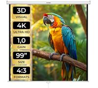 TecTake® Schermo per Proiezione, Home Cinema, Telo per Videoproiettore, Schermo Proiettore Treppiede, HDTV, Doppio Strato, 360 g/m², Angolo Visione 125°, Contrasto Elevato - 178x178cm, 99"