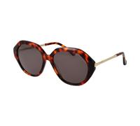 Ted Baker Brown Acetate Sunglasses