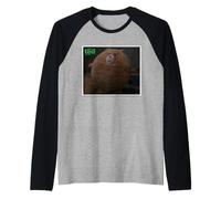 Ted TV Series Puffy Bear Maglia con Maniche Raglan