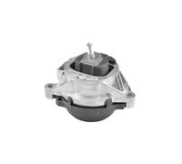 TED11139 SUPPORTO MOTORE (SINISTRO)