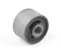 TEDGUM TED21291 Supporto, Differenziale