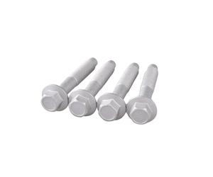 TED40881 BULLONI DEI BRACCI DI CONTROLLO LATERALI POSTERIORI