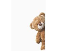 Teddy Bear Notebook: Cute White Brown Composition Journal for Kids and Teens, 120 Pages, 6x9 inches, Lined Pages, His and Hers Gifts