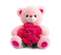 Teddy Bear Stuffed Animals Plush Bear Holding Rose Soft Plush Toy Valentine's Day, 30cm, Pink