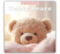 Teddy Bears - Teddybären 2027 - 16-Monatskalender: Original Red Robin Publishing Ltd-Kalender [Mehrsprachig] [Kalender]