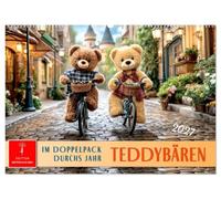 Teddybären - im Doppelpack durchs Jahr (Wandkalender 2027 DIN A2 quer), CALVENDO Monatskalender: Zwei kleine Fellfreunde meistern das große Leben.