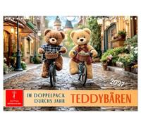 Teddybären - im Doppelpack durchs Jahr (Wandkalender 2027 DIN A4 quer), CALVENDO Monatskalender: Zwei kleine Fellfreunde meistern das große Leben.