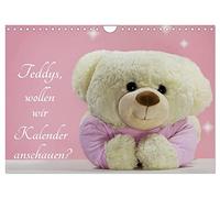 Teddys, wollen wir Kalender anschauen? (Wandkalender 2026 DIN A4 quer), CALVENDO Monatskalender: Teddys das ganze Jahr