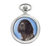 Tedesco Longhaired Puntatore Orologio da Tasca