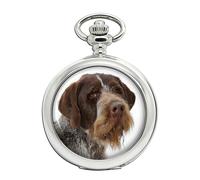 Tedesco Wire-Haired Puntatore Orologio da Tasca