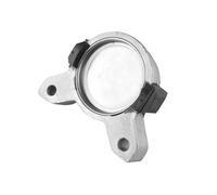 TEDGUM 00222724 Sospensione, Motore per FORD