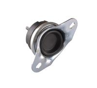 TEDGUM 00514176 Supporto, Sospensione motore