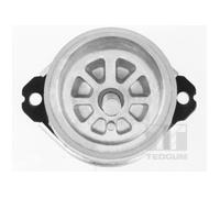 TEDGUM 00728486 Sospensione, Motore per AUDI,PORSCHE,VW