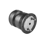 TEDGUM 01104380 Tampone paracolpo, Sospensione per IVECO