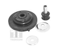 TEDGUM Supporti Ammortizzatore Anteriore Superiore per Nissan Pathfinder III R51