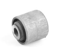 TEDGUM Supporto Braccio Posteriore Inferiore Doppio Esterno Per Ford