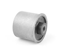 TEDGUM Supporto Corpo Assale Posteriore per Fiat Panda 312 1.2 0.9 4x4 319 1.0